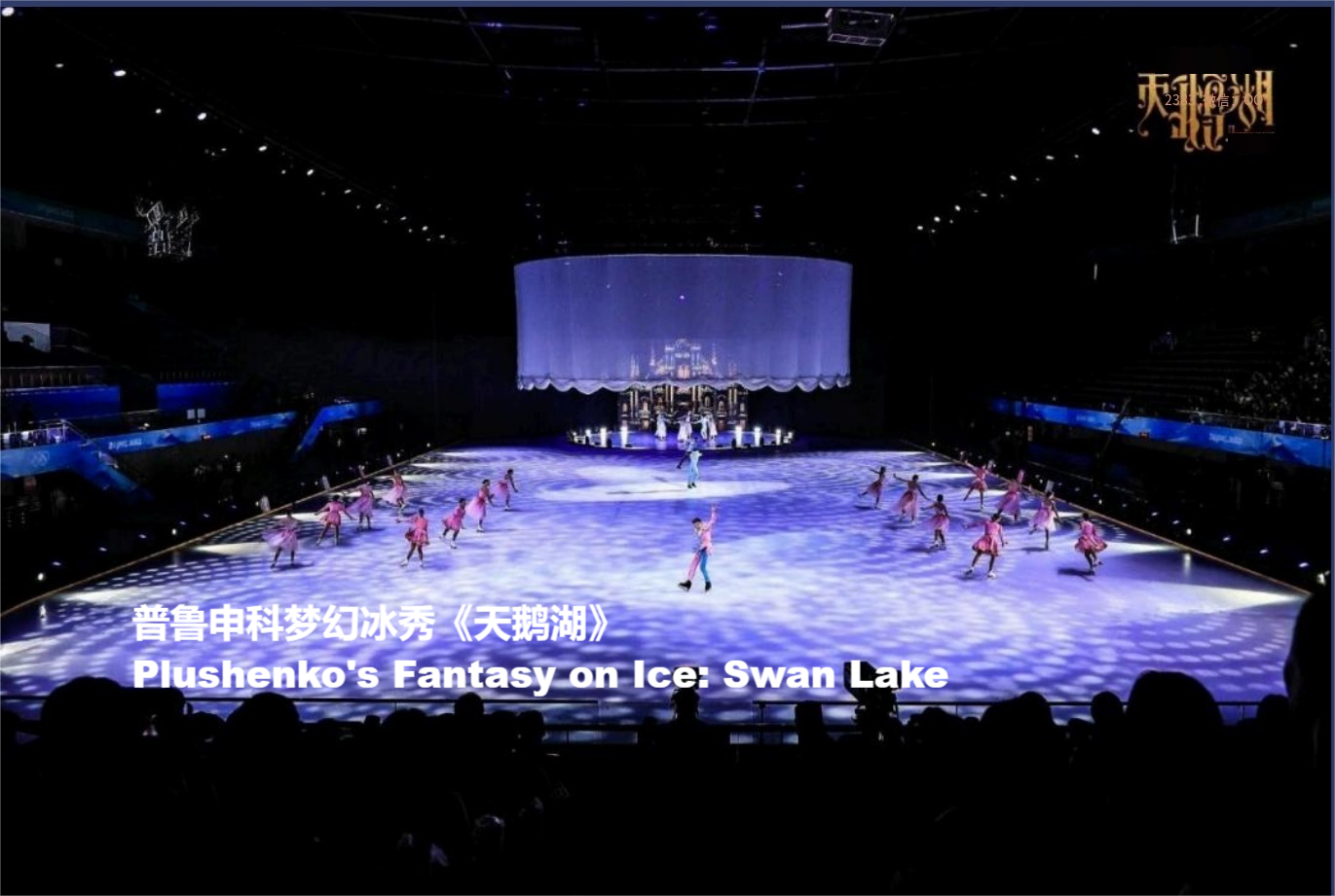 普鲁申科梦幻冰秀《天鹅湖》